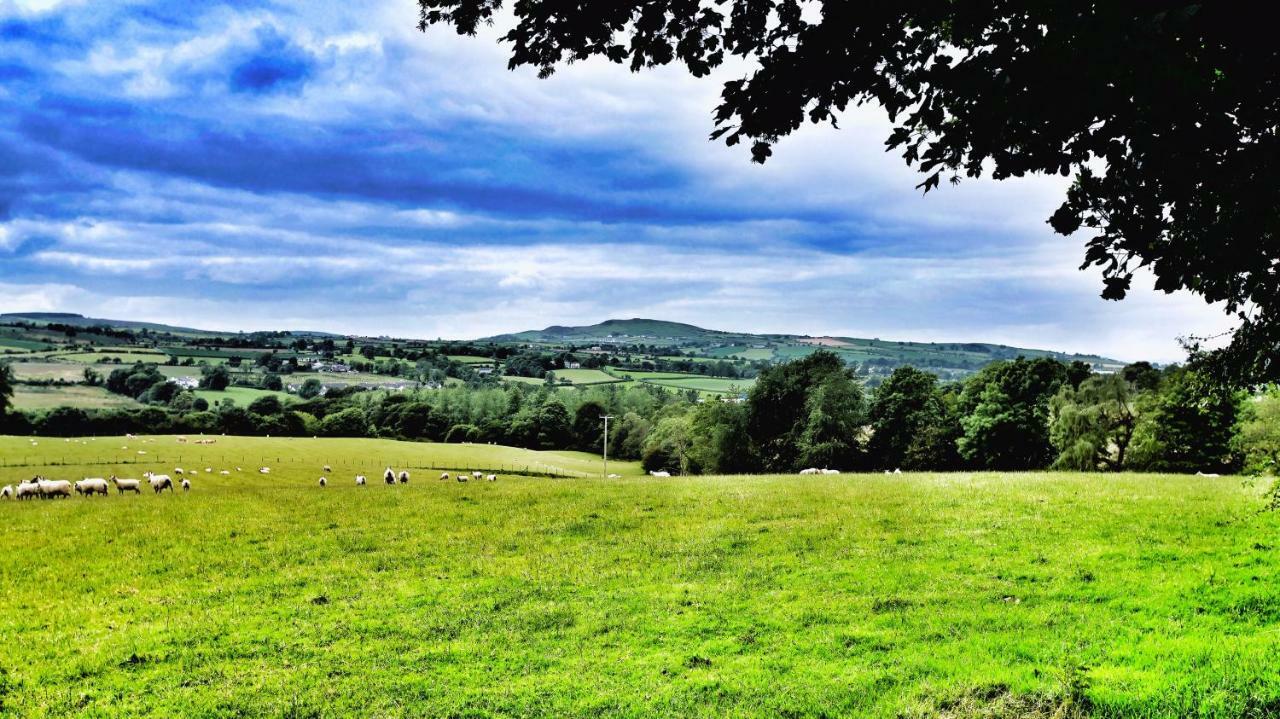 Elagh View Bed & Breakfast Londonderry Zewnętrze zdjęcie